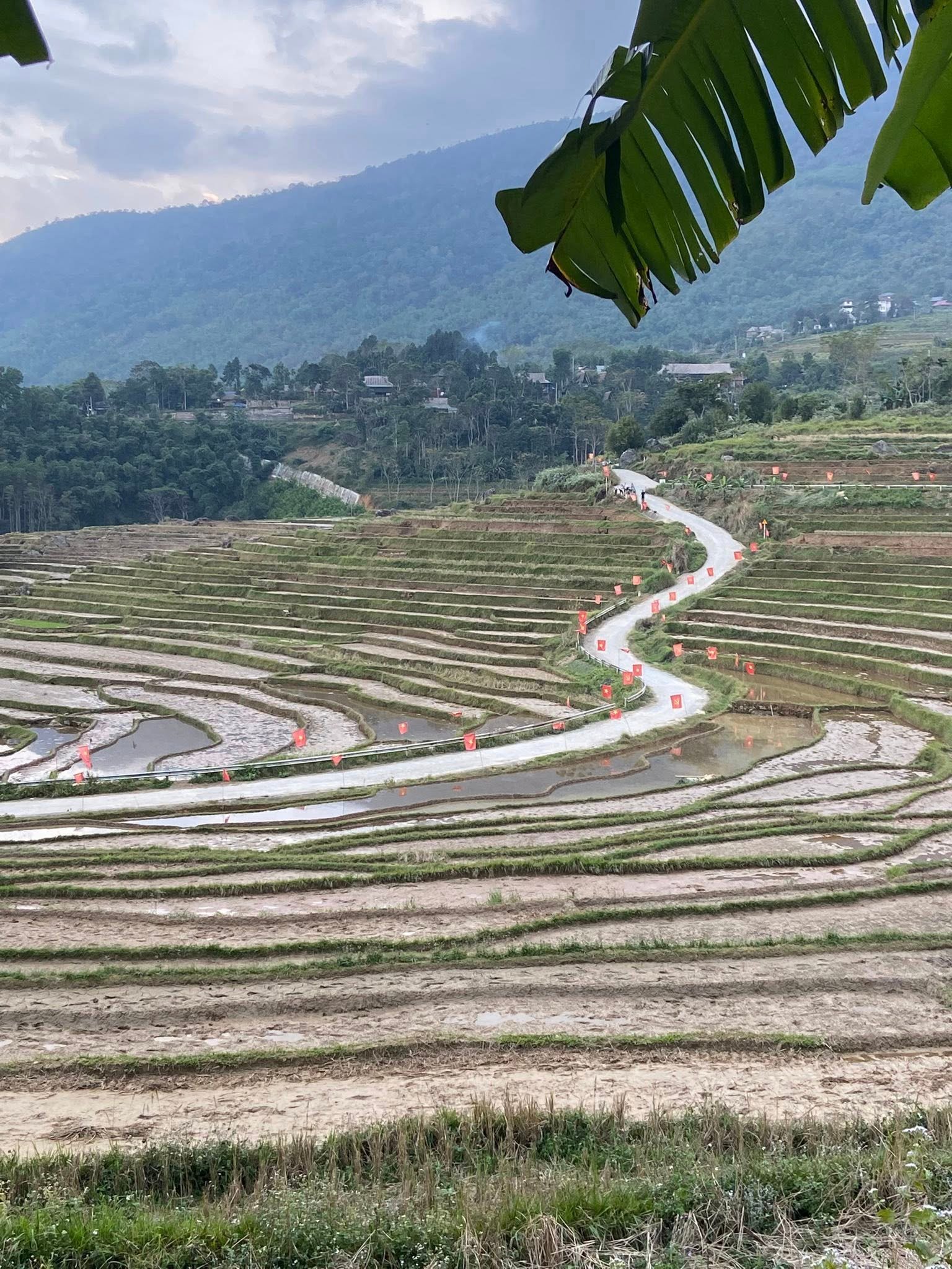 The Silent Path to Authenticity: The Ultimate Guide to a Ha Giang Village E-Bike Tour